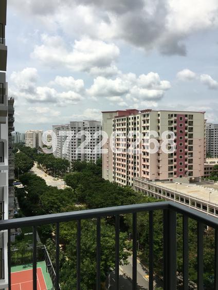 La Fiesta (D19), Condominium #126841422